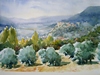 PEYRUIS-1, PROVENCE