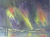 NATURE'S FIREWORKS Zweeds Lapland