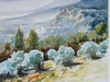 PEYRUIS-2, PROVENCE