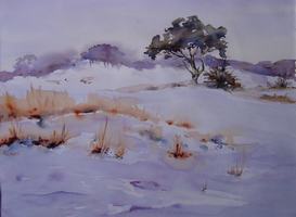 VELUWE