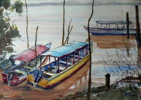 COPPENAME RIVIER, SURINAME