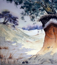 ZANDLANDSCHAP KOOTWIJKERZAND