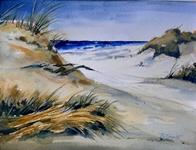 DUINEN AMELAND