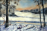WINTERLANDSCHAP TWENTE