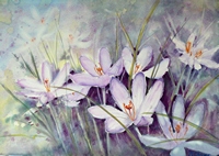 VIOLET DREAM