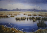 FOCHTELOER VEEN 2