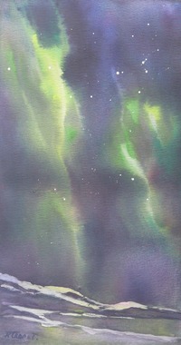 WONDERS IN THE SKY Zweeds Lapland